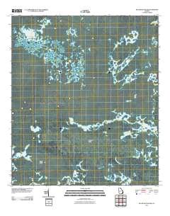 Blackjack Island 2011 topographic map thumbnail