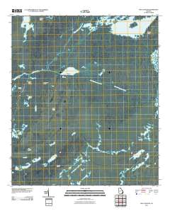 Billys Island 2011 topographic map thumbnail