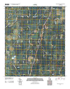 Baconton South 2011 topographic map thumbnail