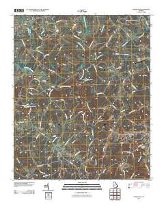 Carnesville 2011 topographic map thumbnail