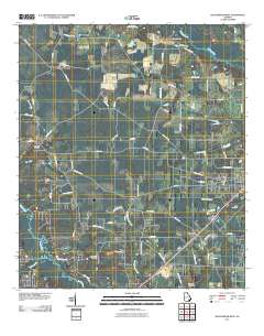 Blackshear West 2011 topographic map thumbnail