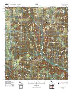 Dogtown 2011 topographic map thumbnail