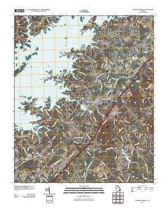 Flowery Branch 2011 topographic map thumbnail