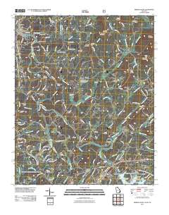 Mineral Bluff 2011 topographic map thumbnail