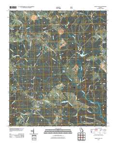 Shady Dale 2011 topographic map thumbnail