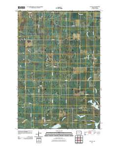 Cayuga 2011 topographic map thumbnail