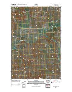 Medicine Butte 2011 topographic map thumbnail