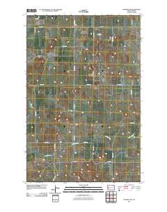 Manning NW 2011 topographic map thumbnail