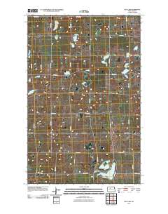 Rice Lake 2011 topographic map thumbnail