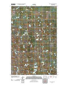Rice Lake NW 2011 topographic map thumbnail