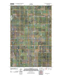 Billings Lake 2011 topographic map thumbnail