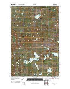 Willow Lake 2011 topographic map thumbnail