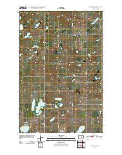 Lake Williams 2011 topographic map thumbnail