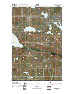 Petrified Lake 2011 topographic map thumbnail