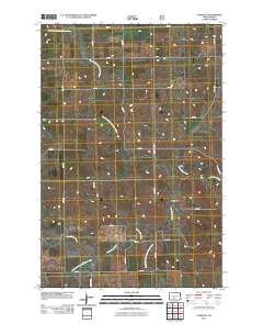 Lynwood 2011 topographic map thumbnail