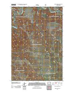 Spring Creek 2011 topographic map thumbnail