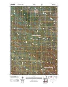 Williams Lake 2011 topographic map thumbnail