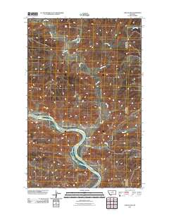 Cow Island 2011 topographic map thumbnail