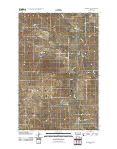 Flowing Well 2011 topographic map thumbnail
