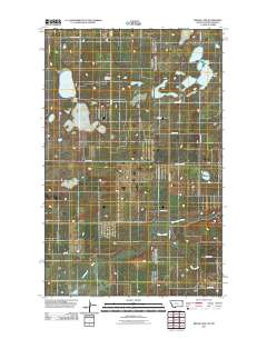 Brush Lake 2011 topographic map thumbnail