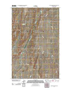 Forsman Reservoir 2011 topographic map thumbnail