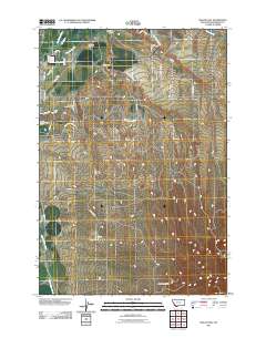 Dillon East 2011 topographic map thumbnail
