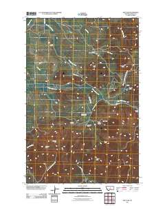 New Year 2011 topographic map thumbnail