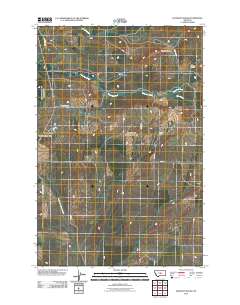 Elephant Rocks 2011 topographic map thumbnail