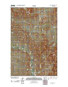 Henry Creek 2011 topographic map thumbnail