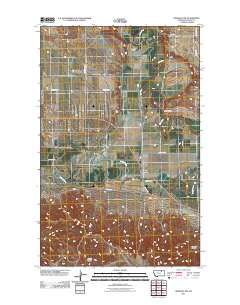 Hinsdale NW 2011 topographic map thumbnail