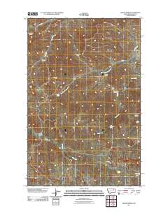 McRae Springs 2011 topographic map thumbnail