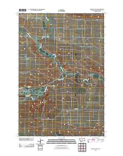 Ryegate East 2011 topographic map thumbnail