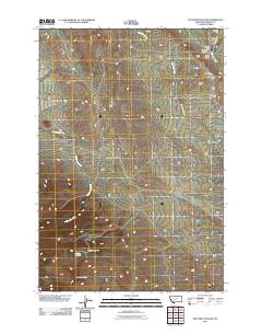 Nez Perce Hollow 2011 topographic map thumbnail