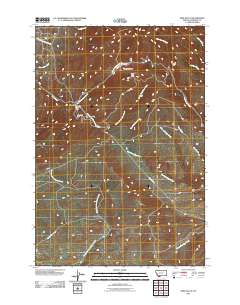 Mine Gulch 2011 topographic map thumbnail