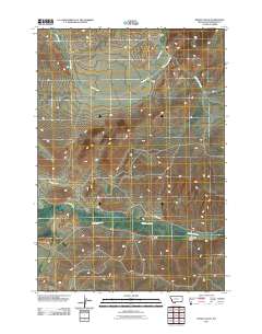 Henry Gulch 2011 topographic map thumbnail