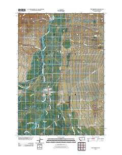Twin Bridges 2011 topographic map thumbnail