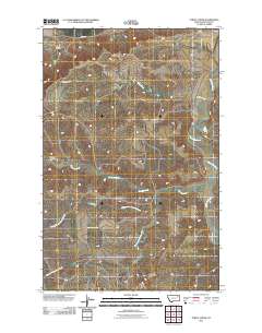 Turtle Creek 2011 topographic map thumbnail