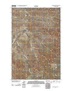 Pedigo Coulee 2011 topographic map thumbnail