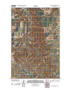 Wild Bill Flat East 2011 topographic map thumbnail