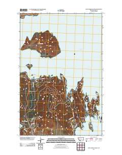 Wild Horse Island 2011 topographic map thumbnail