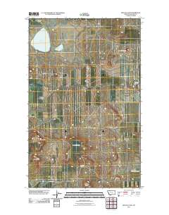 Buffalo Lake 2011 topographic map thumbnail