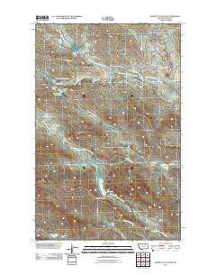 Burnett Flats East 2011 topographic map thumbnail
