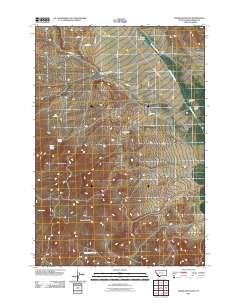 Burns Mountain 2011 topographic map thumbnail