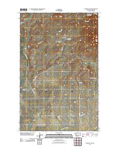 Cameron Lake 2011 topographic map thumbnail