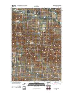 Brown Spring 2011 topographic map thumbnail