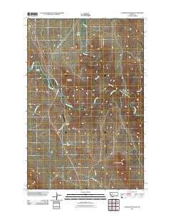 Coburn Mountain 2011 topographic map thumbnail