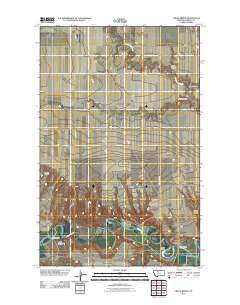Circle Bridge 2011 topographic map thumbnail
