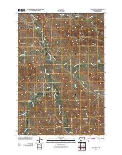 Forks Ranch 2011 topographic map thumbnail