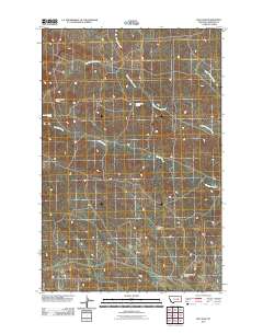 Dice Dam 2011 topographic map thumbnail