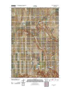 Flick Lake 2011 topographic map thumbnail